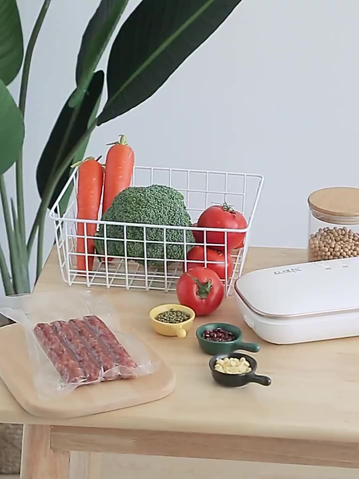 electric food vacuum sealer packaging machine DRY AND WET