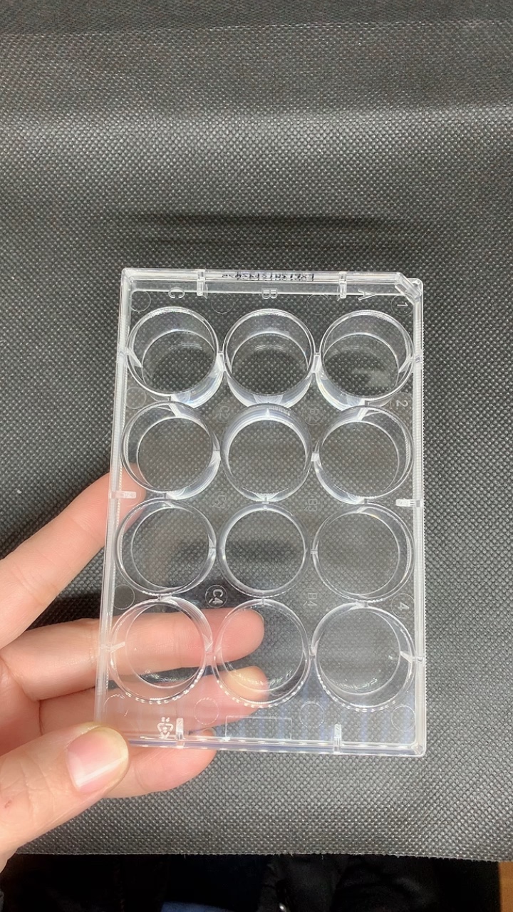 Medical Lab Supplier Sterile Alpha Plus 12well Plate Clear Pseudo