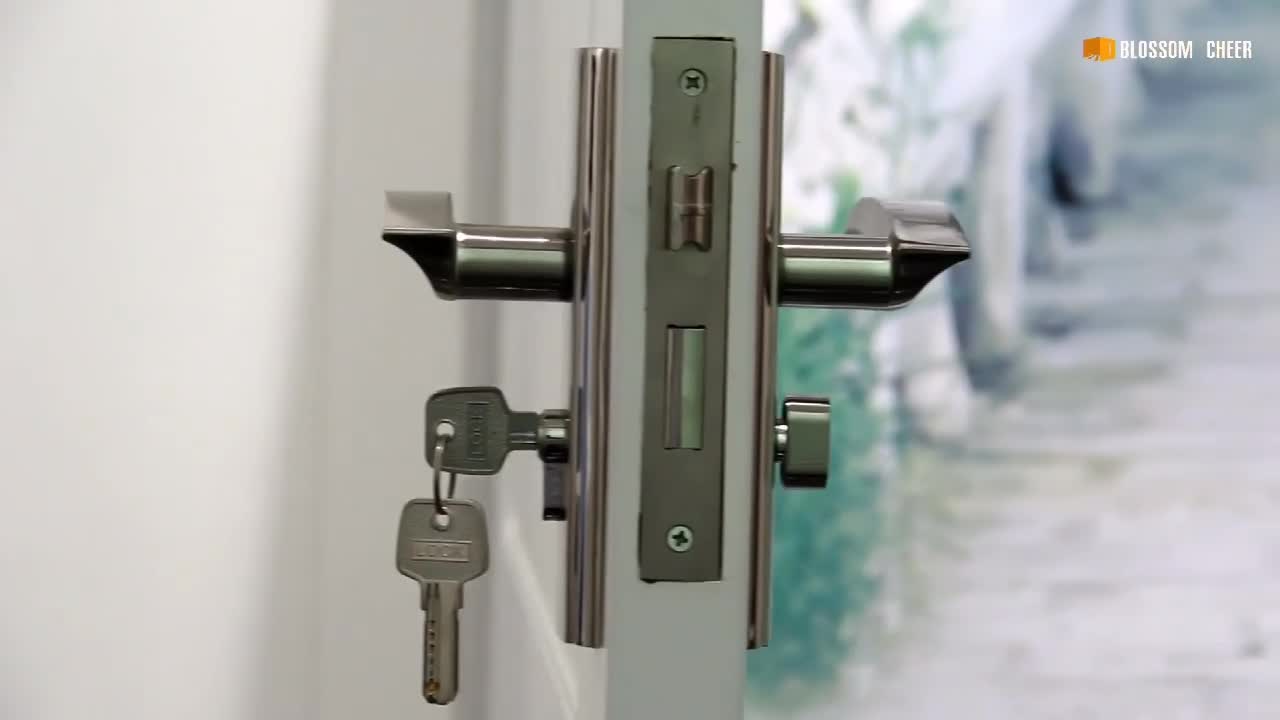 Popular Design Sri Lanka Luxury Door Handles Locks Interior Door Handle