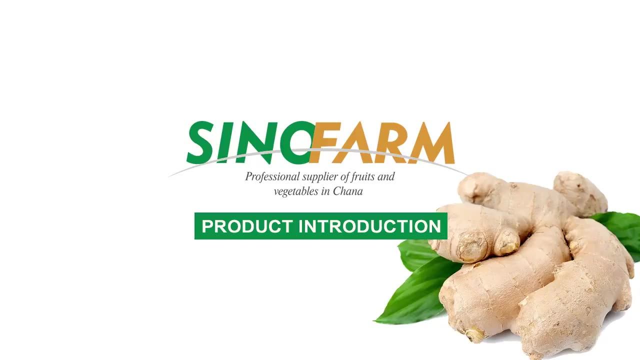 High Quality Dried Fresh Ginger Market Price Per Ton Wholesale Ginger Buyers For Export In China