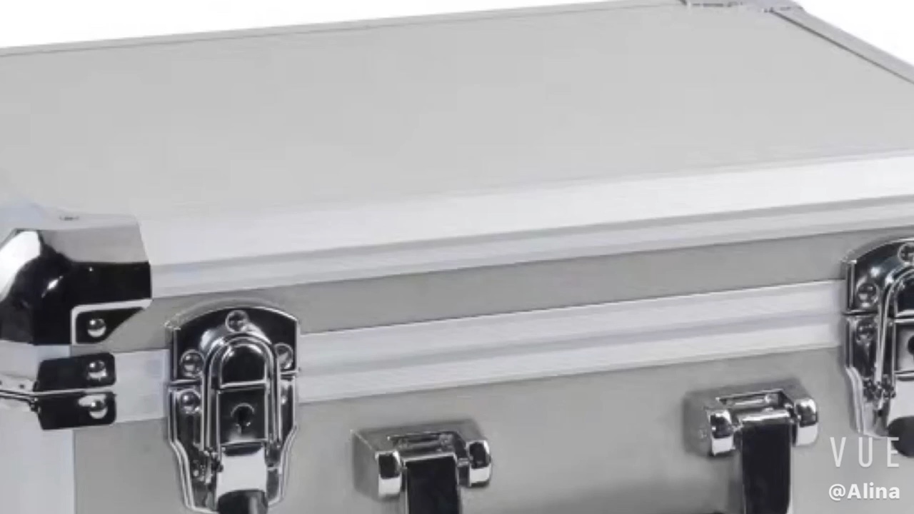 Custom Portable Aluminium Carrying Hair Tool Case Instrument Aluminum