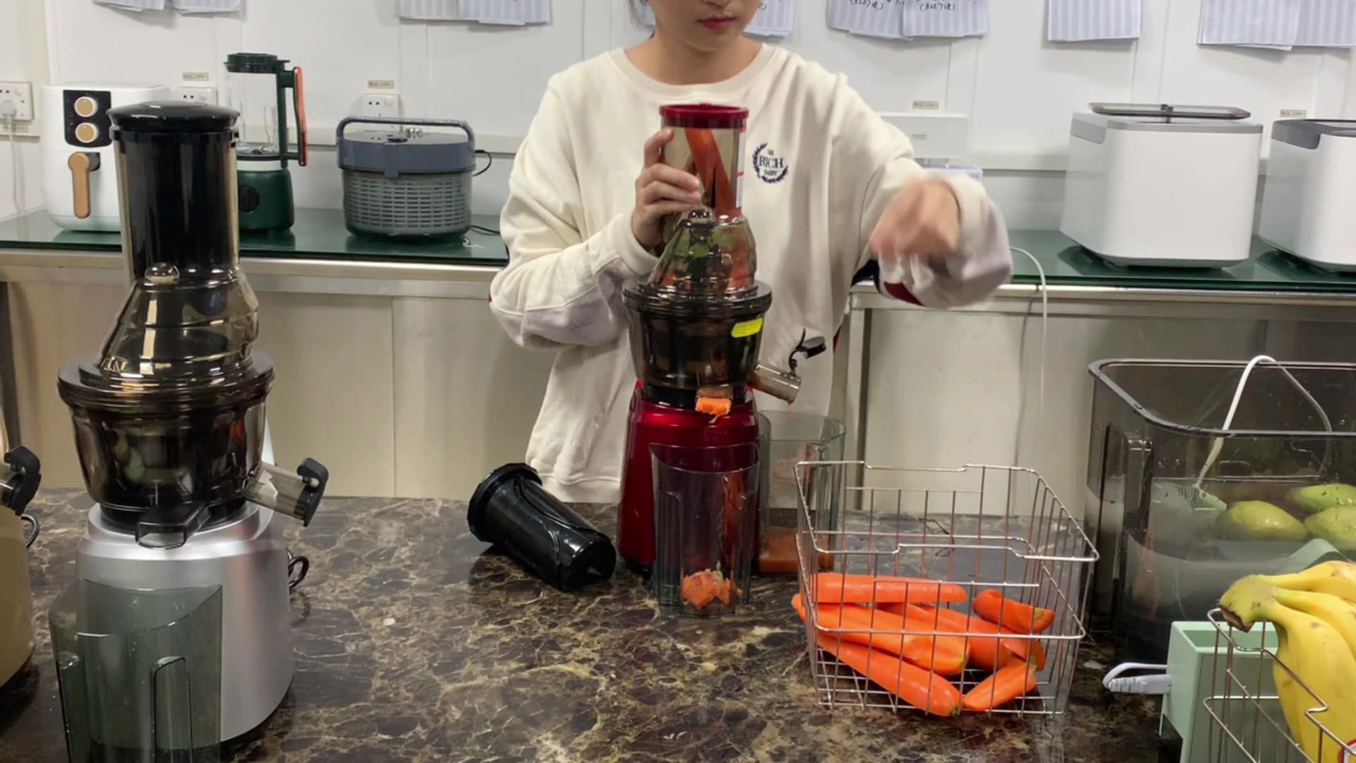 250w Full Copper Steel Fruit Juicer Extractor Cold Press Machine