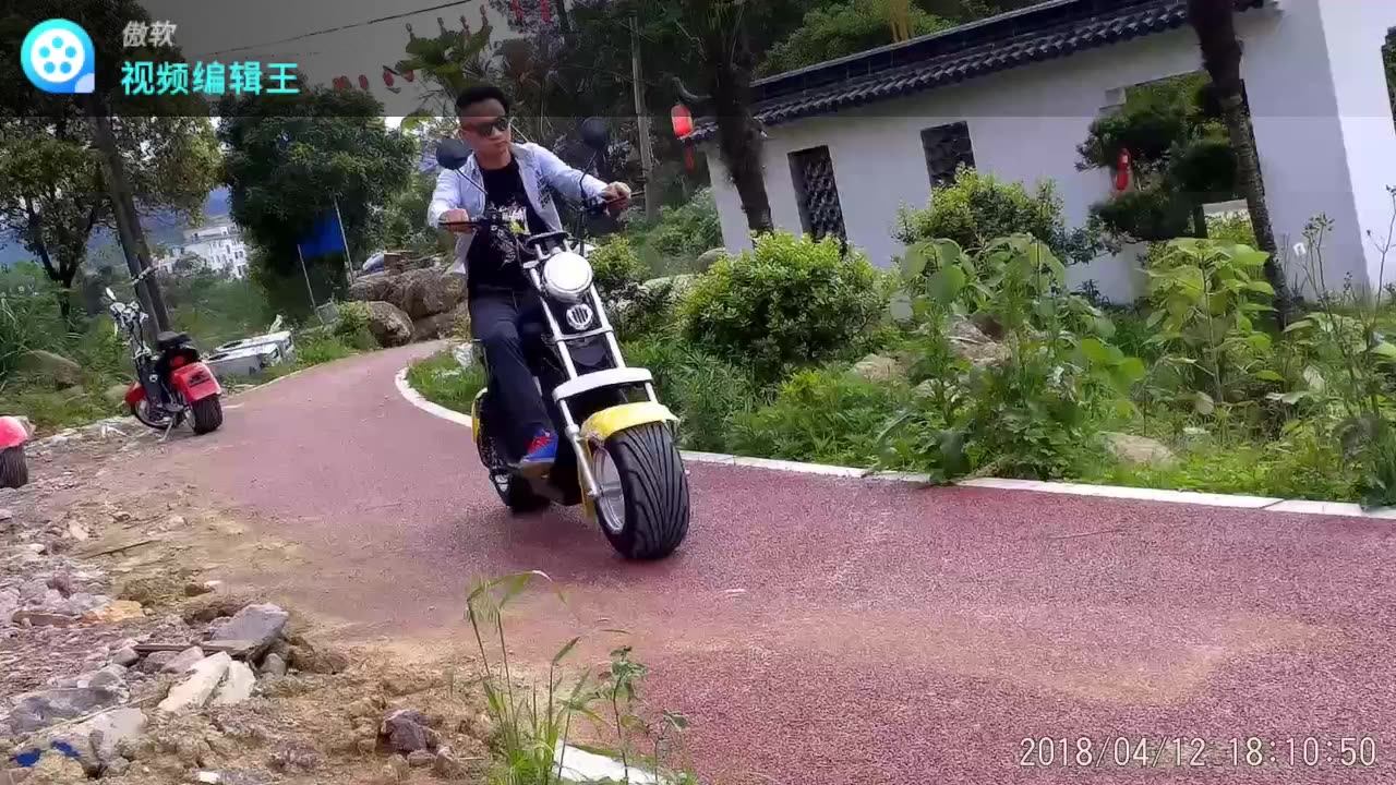 Netherlands Warehouse Citycoco Sc11 10 Inch 1000w 1500w Fat Tire