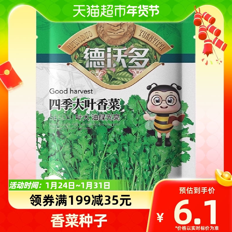 (one) Devodo Four Seasons large leafy parsley seed Farma Vegetable Potted Coriander Seeds Balcony-Taobao