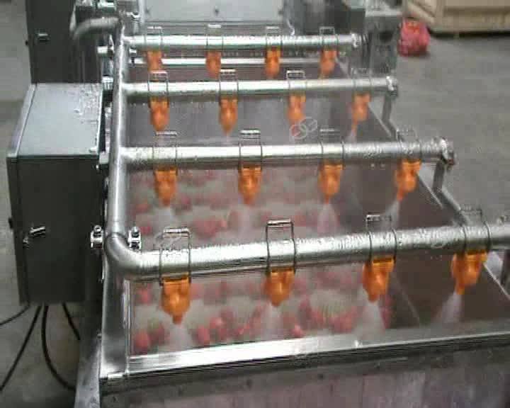 Automatic Conveying Bubble Type Cherry Tomato Washing Garlic Cloves