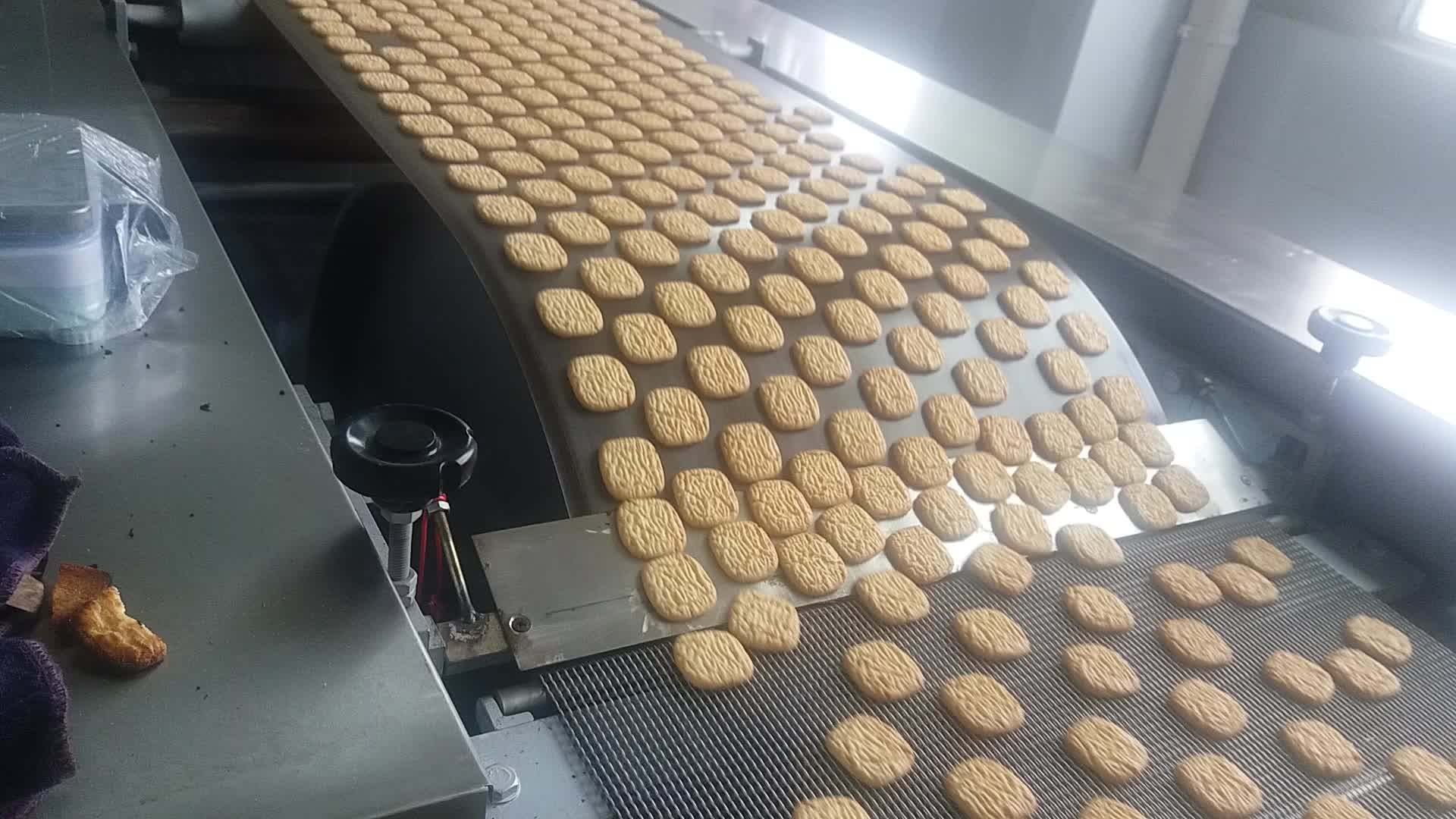 Skywin Manufacturer Biscuit Baking Tunnel Electric Or Gas Oven Machine