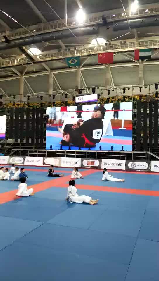 2 Inch High Quality Factory Martial Arts Brazilian Jiu Jitsu Gym Mats