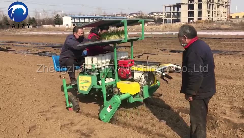Vegetable Transplanting Planter Seeder Farming Tools Equipment Machines