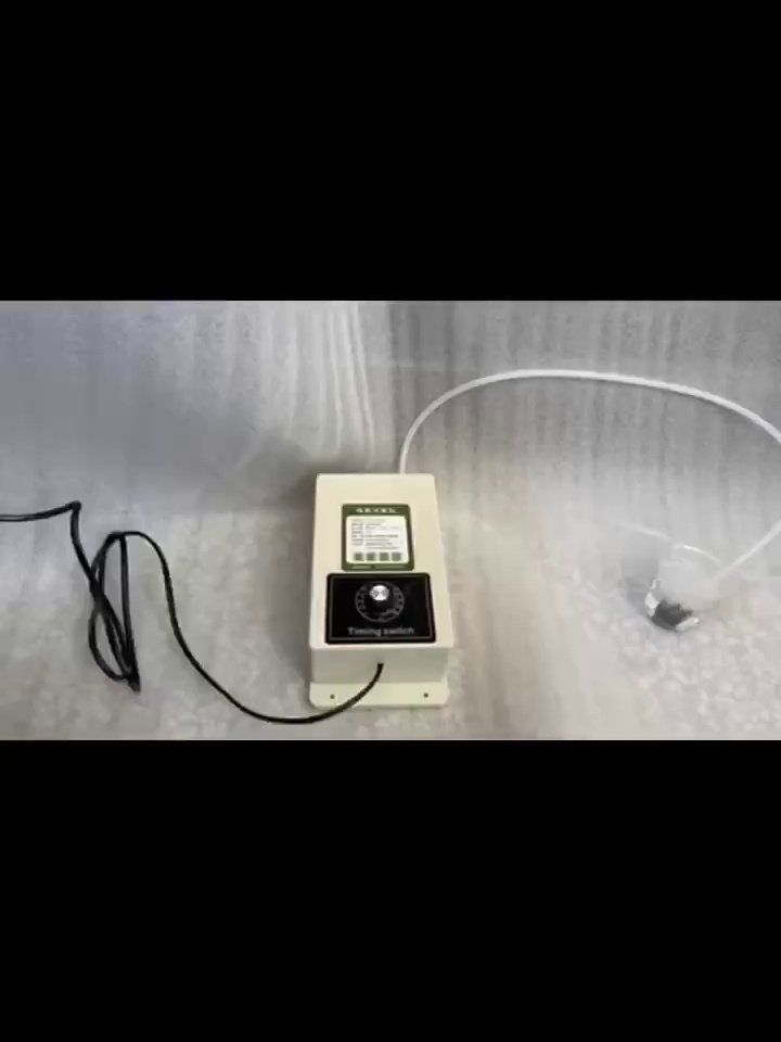 本玩意儿真能够一键灭掉鱼缸绿藻+衣服异味？我信了！