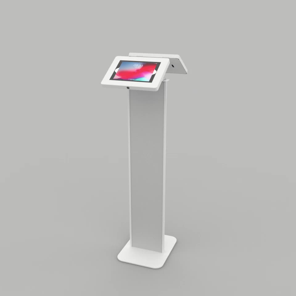 Lsf09d Floor Security Antitheft Tablet Display Stand With Locking