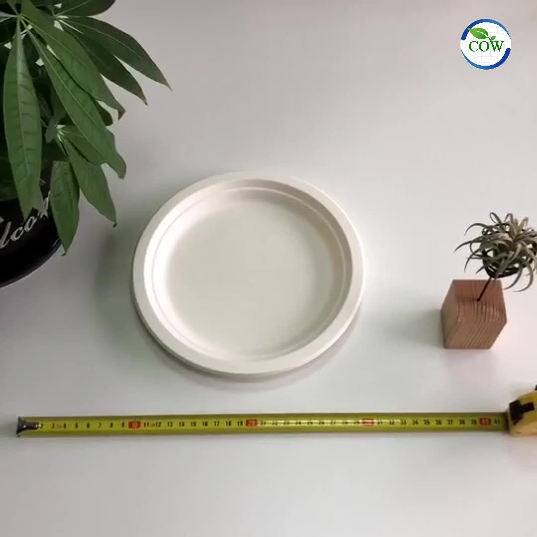 Green Disposable Catering Supplies 9 Inch Recycled Sugarcane Bagasse Pizza Dinner Plate