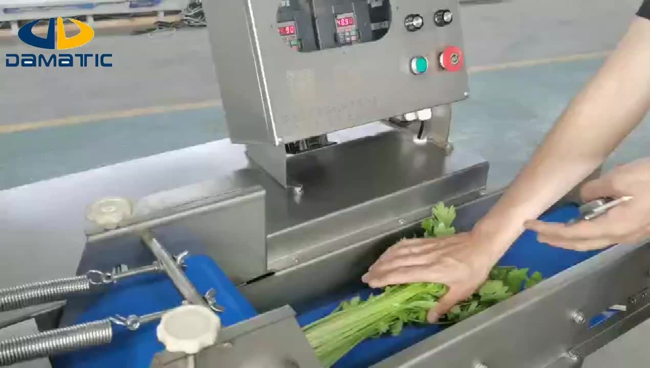 Efficient Compact Durable Greens Cutter Chili Slicing Multifunctional