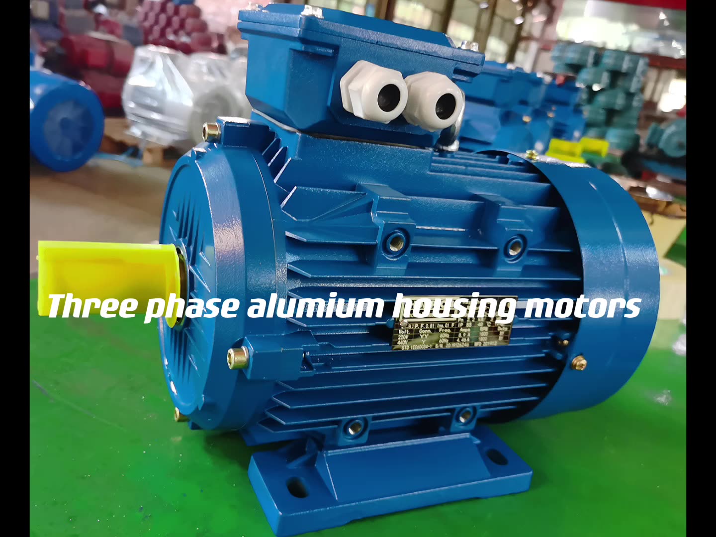 Ie3 Series 3 Phase Induction Motor For Packing Machine Energy Saving