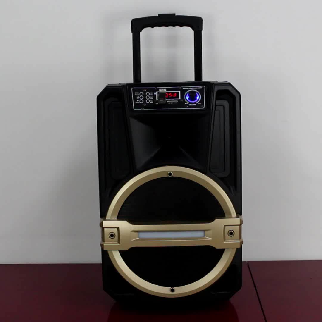 12 Inch Speaker Microphone Dj Sound Box Karaoke System With Trolley