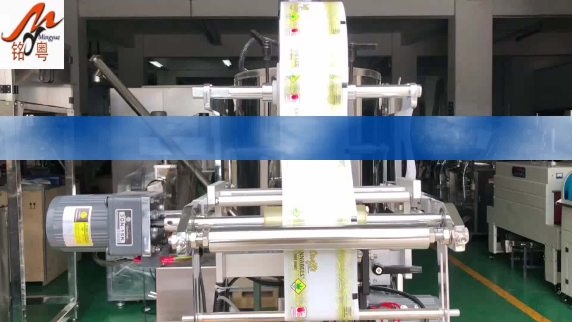 Multifunction Pouch Tomato Paste Packaging Machinery,Ginger Garlic