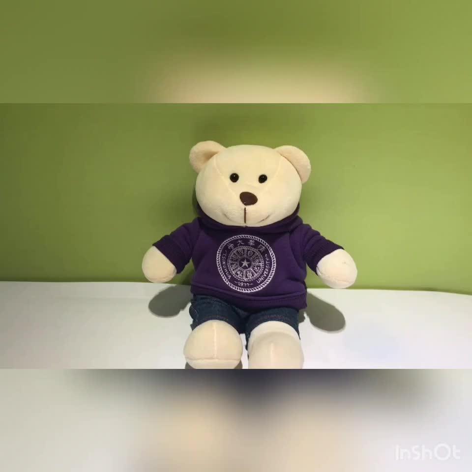 Customize Stuffed & Plush Animal School Business Gift Plush Toys 25 Cm