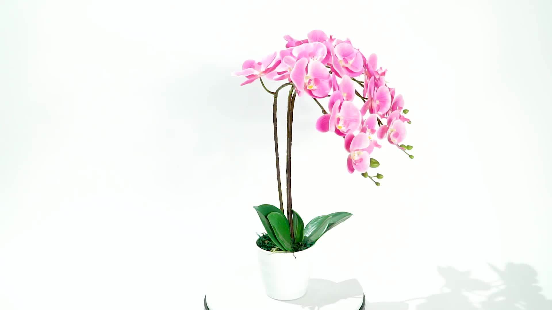 Real Touch Artificial Orchid Flowers For Sale Artificial Orchid Plants