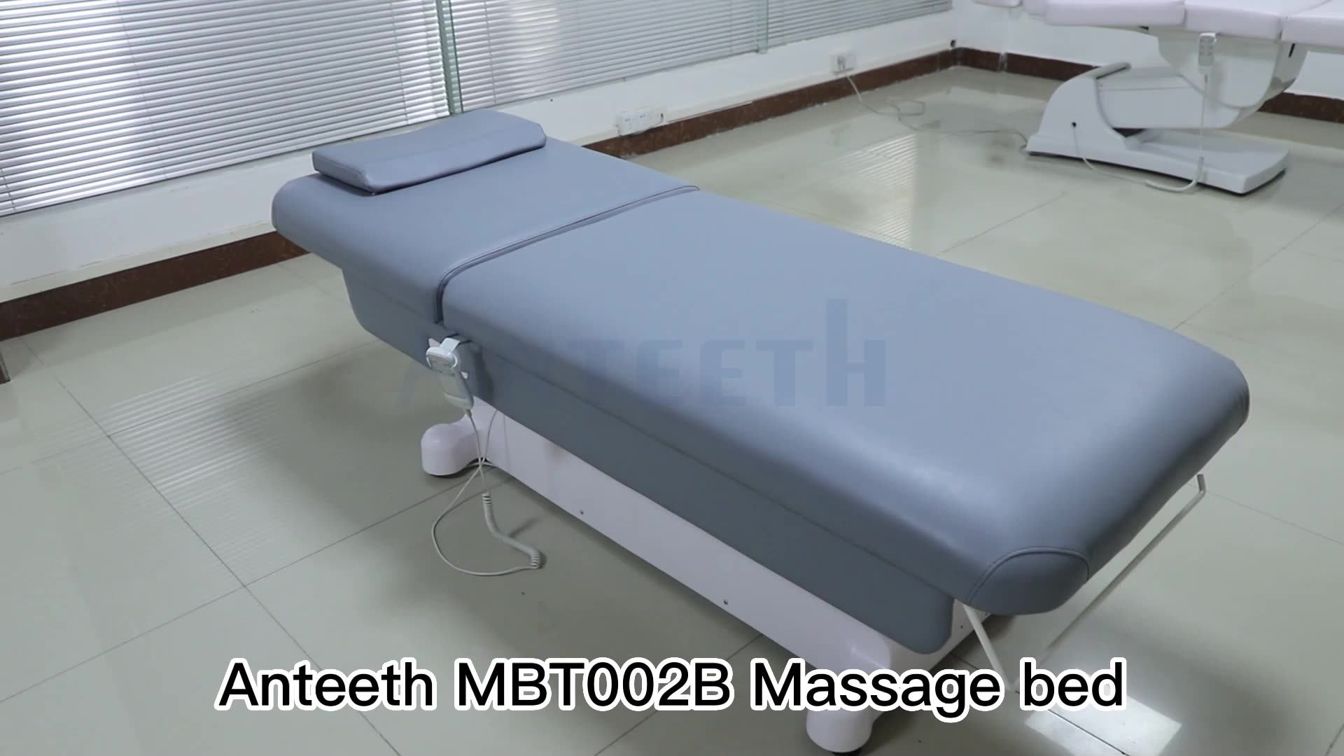 Professional Luxury Electric Spa Bed 1 2 3 Motors Aesthetic Facial