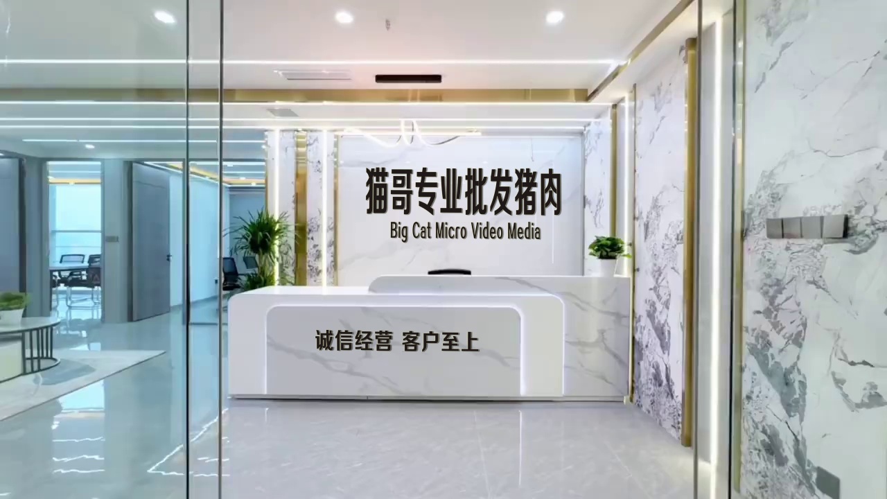 编号3251：公司前台墙字写字楼改文字