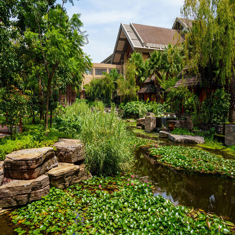 刘畊宏夫妇引领的泰国旅行热潮：一场别样的海岛度假