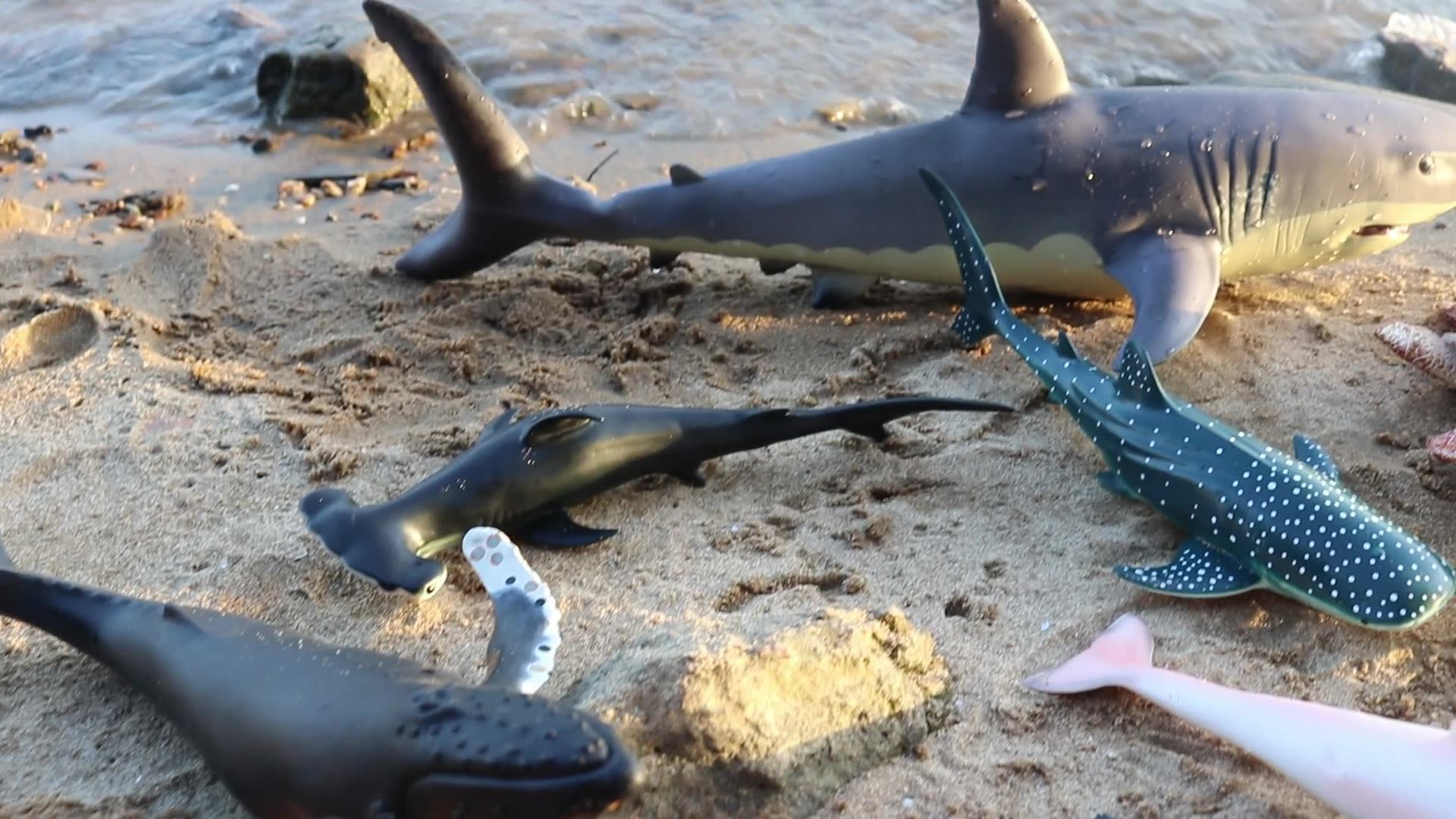 Oenux 大型海洋生物動物ソフトホオジロザメビッグサメアクション