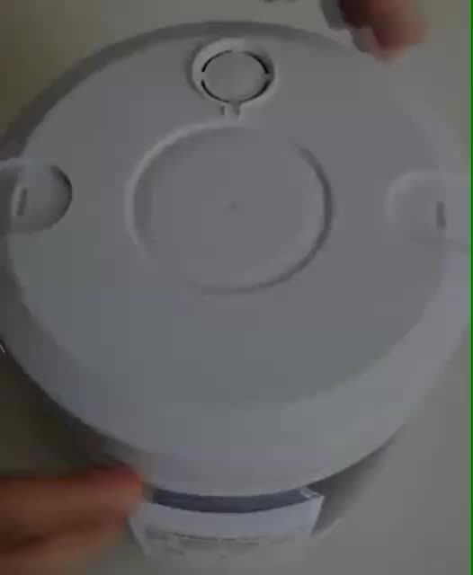 Car Rice Cooker 12v 24v 220v Car Home Dual Use Selfdriving Portable