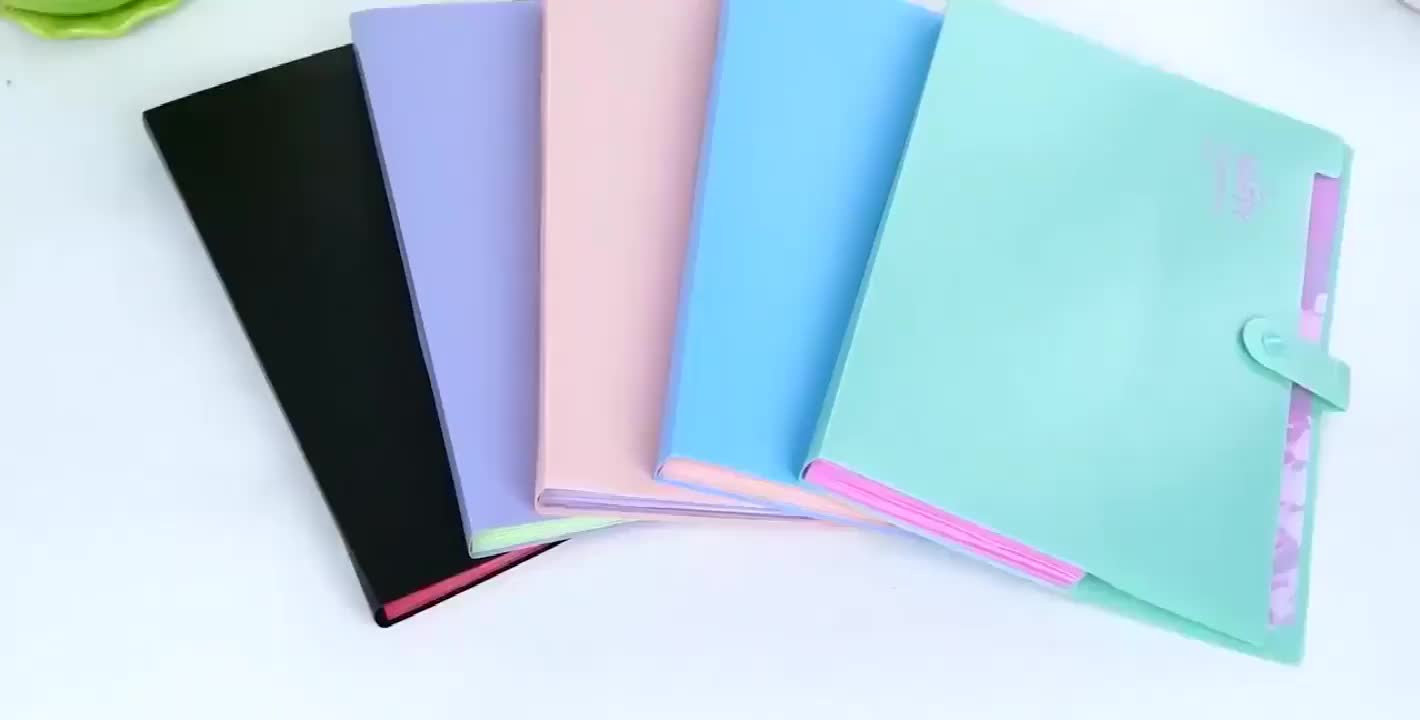 A4 Size Pp Plastic Expanding Hard Cover Button Clear Document Bag