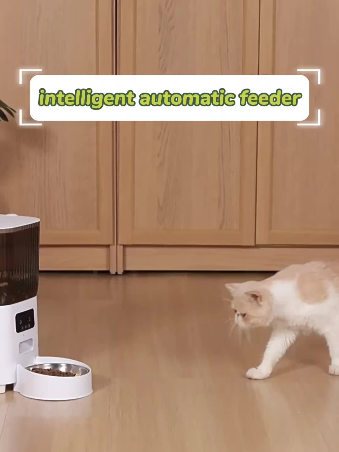 Pet Supplies Amazon Hot Selling White Wife Camera Version Cat And Dog