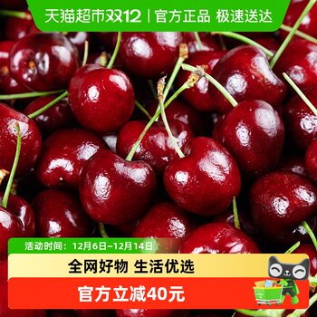 Miller fruit chilean cherry