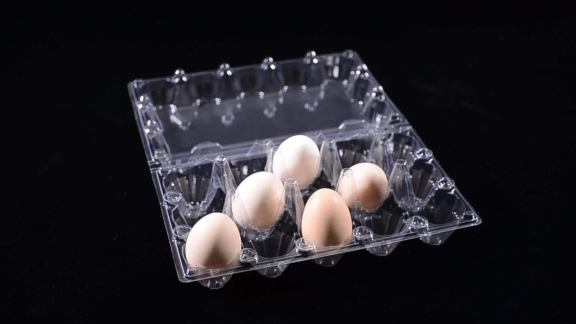 Custom Boxes With Logo Plastic Clear Egg Tray Chicken Egg Cartons Egg