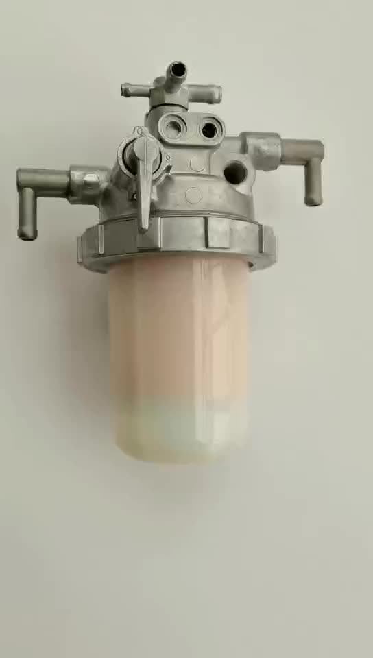 Fuel Water Separators Oem 12910055621 12910055621 Fuel Filter For
