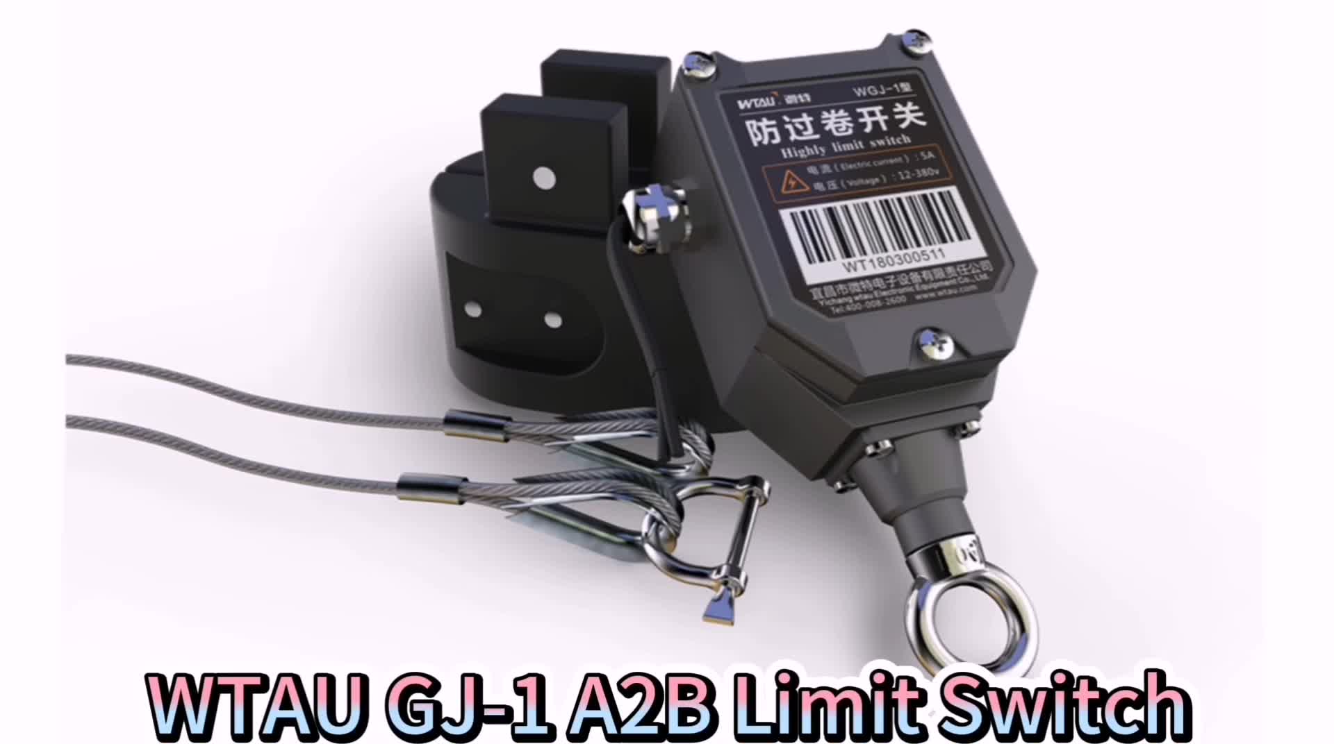 Crane A2b Antitwo Block Hook Limit Switch Buy Hoist Crane Limit