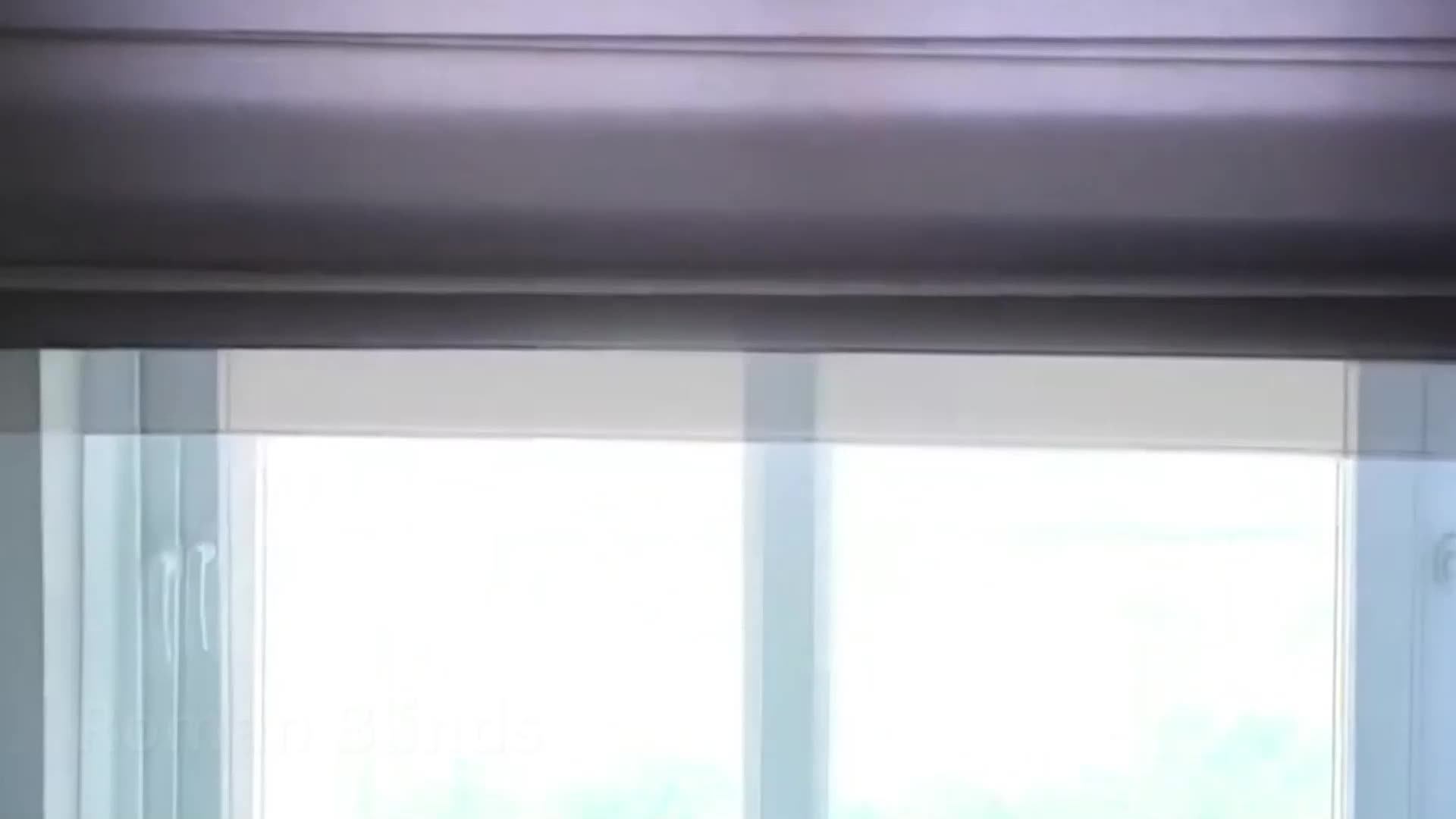 Roman Shades Sunscreen Blackout Motorized Electric Cordless Automatic Smart Manual Roman Blinds