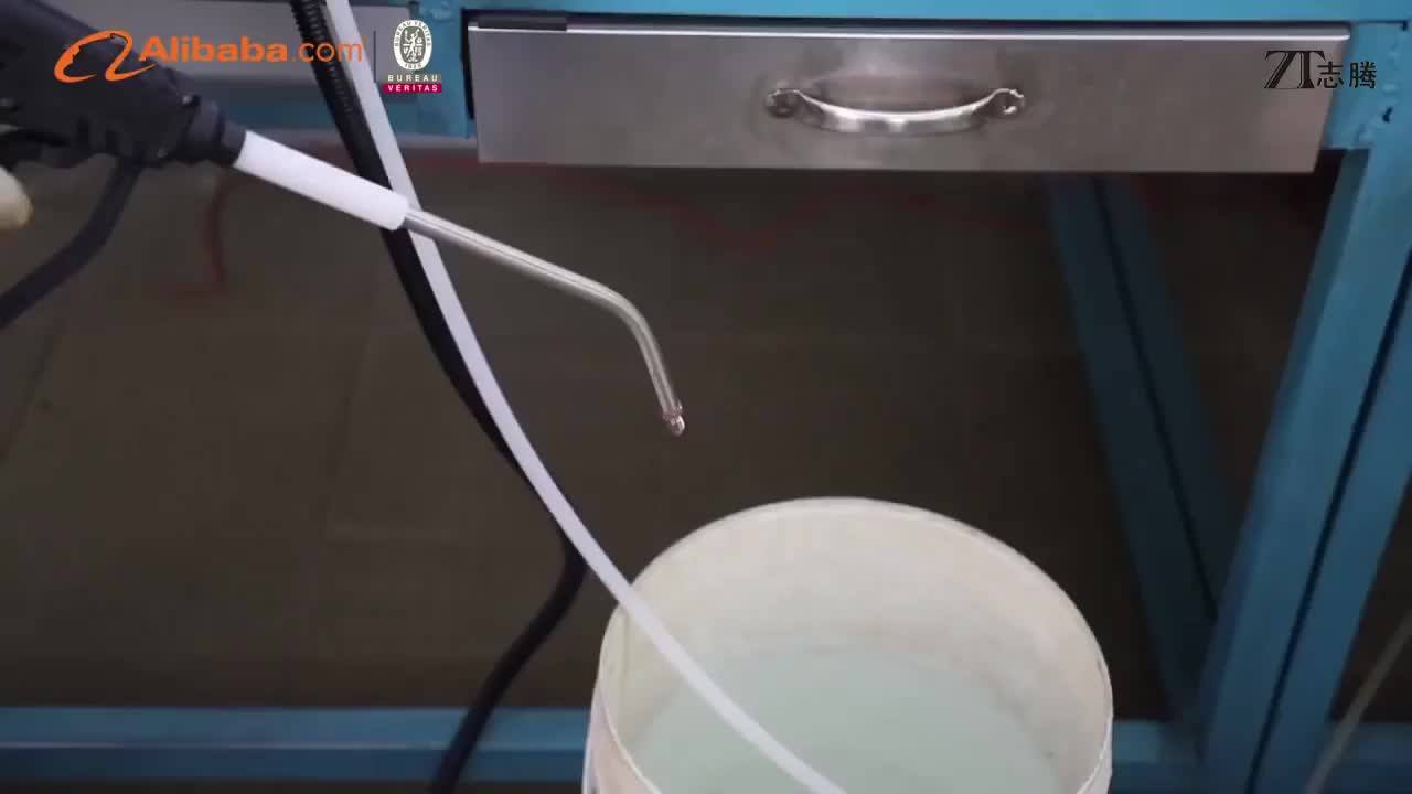 High Pressure Hotel Dry Steam Car Seat Cleaner Machine Car Washer