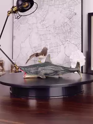 Playing model children simulation Ocean shark toy model large giant tooth shark great white shark giant mouth shark animal model