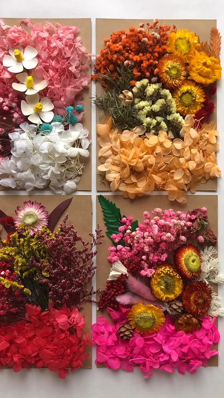 Dried Flowers Bags Wholesale Dried Flowers Nail Art Natural Real Flower