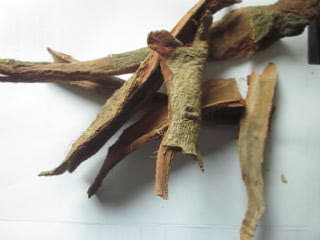 Acacia Confusa Root Bark Powder Not Extract,Alkaloid Content - Buy ... Acacia Confusa Root Bark Extraction