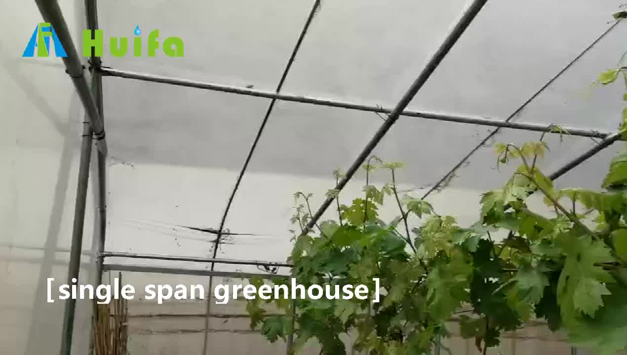 Newly Greenhouse For Vegetable Philippines Greenhouses Buy Newly