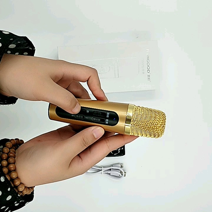 Best Karaoke Echo Microphone Uhf Singing Wireless Handheld Microphone