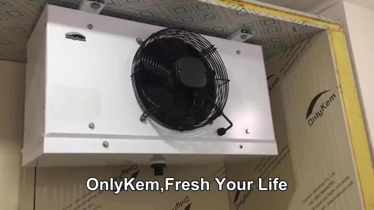 Dual Discharge Evaporator,Twin Blow Unit Cooler,Dual Blow Air Cooler