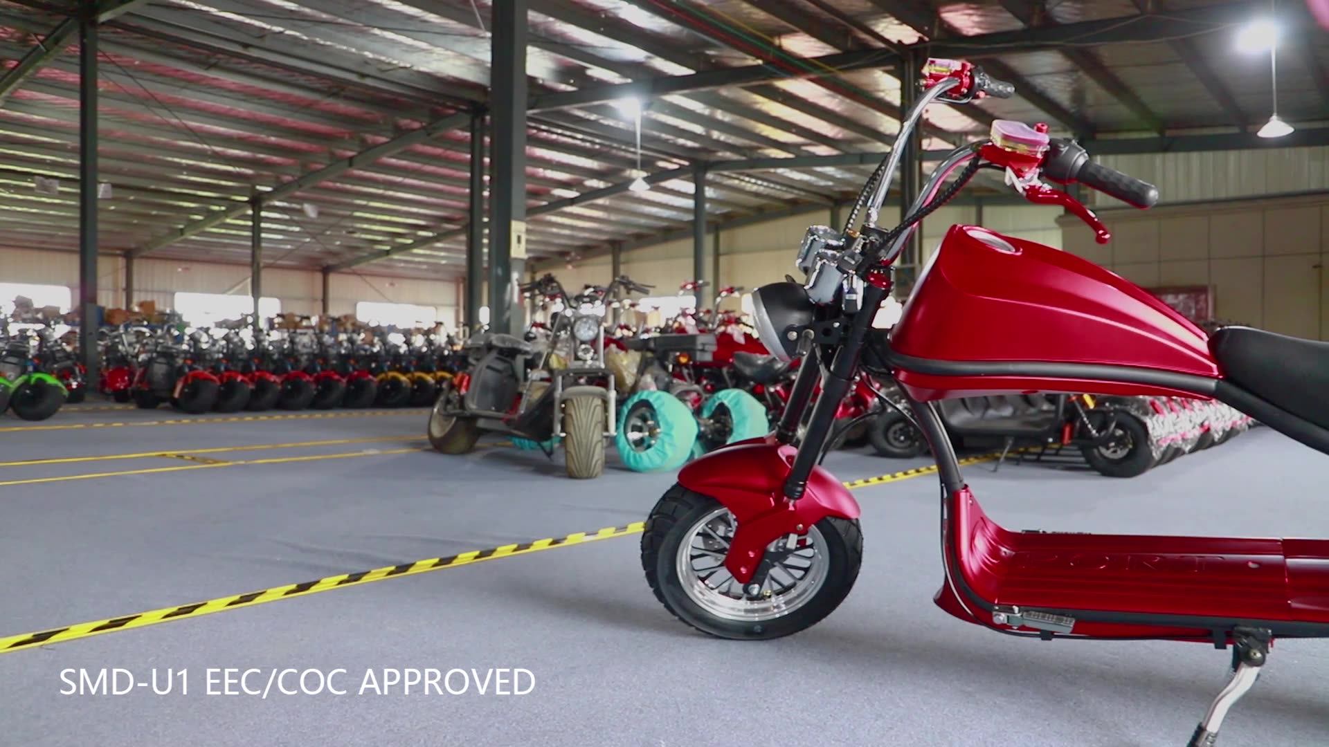 Hotsale Unfoldable 1500w 60v Wiggles Unicorn Fatbike Mono Pxid Electric