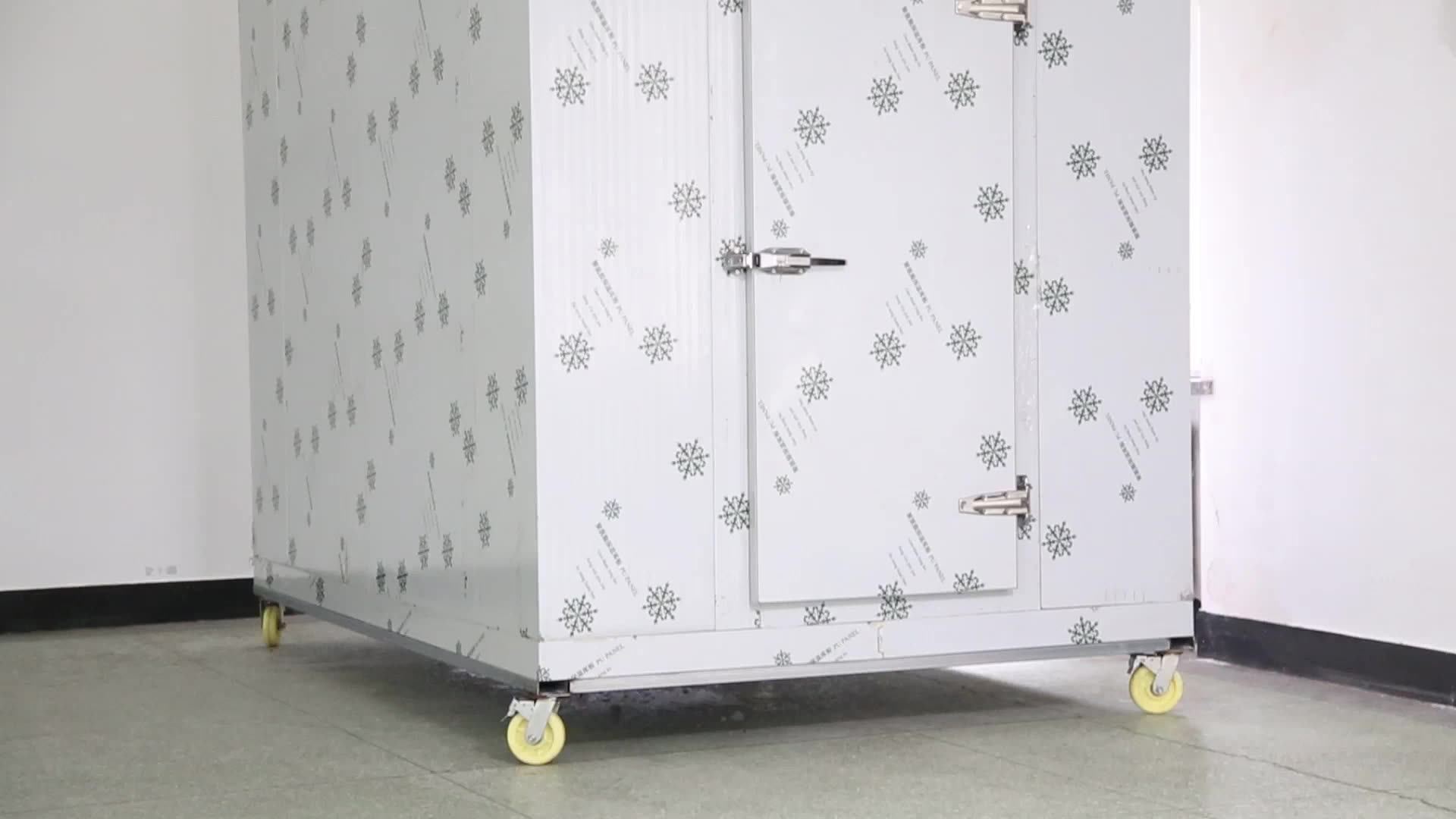 Dongan Professional Cold Room Storage Freezer With Refrigeration Unit