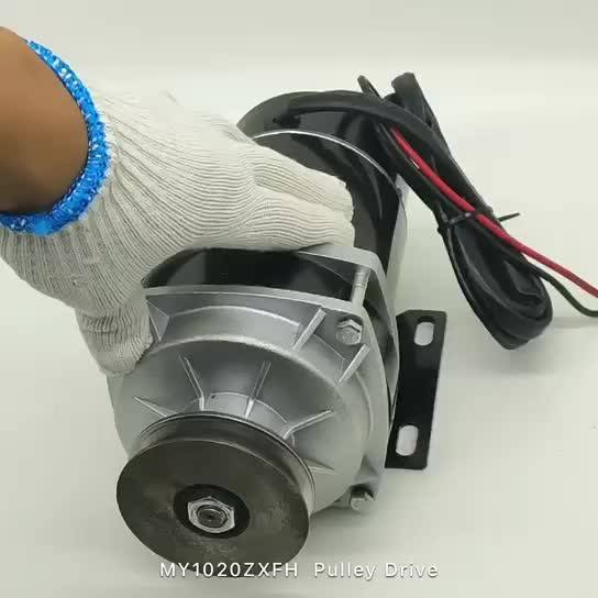 Customized My1120zxf 36v 48v 600w Brush Dc Motor Pulley Drive For