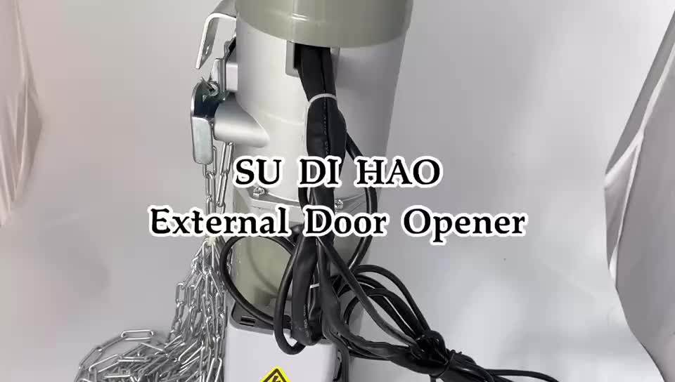300/400/500/600 Kg New Design Auto Car Door Door Motor / Electric