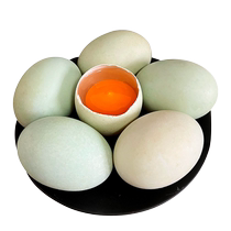 Authentic free-range large native duck eggs 30 fresh raw duck eggs green shell green skin duck eggs are now available for pick up