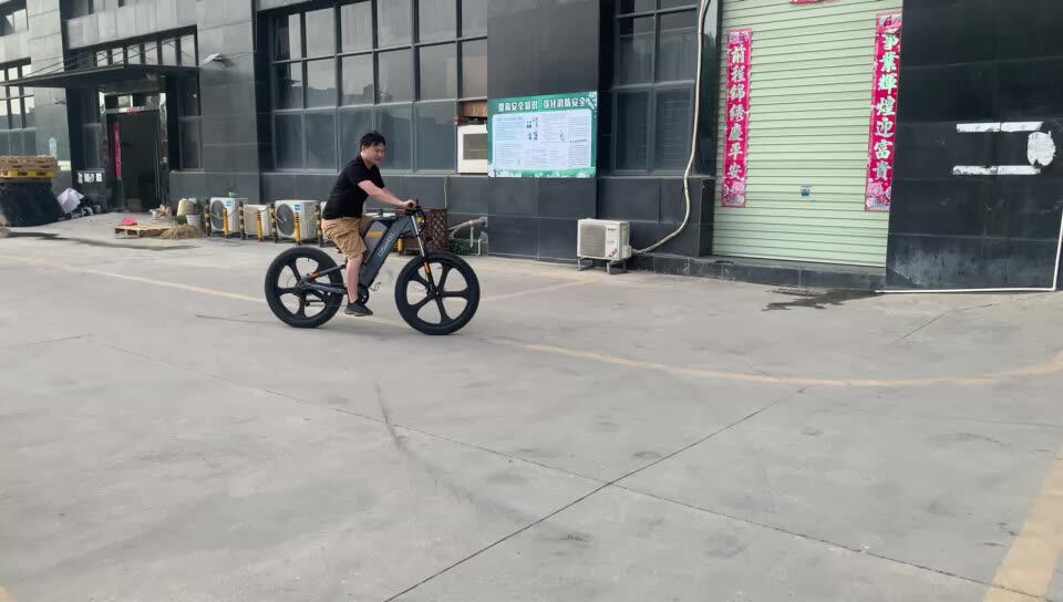 Coswheel Ebike Bicycles 750w 25ah Long 