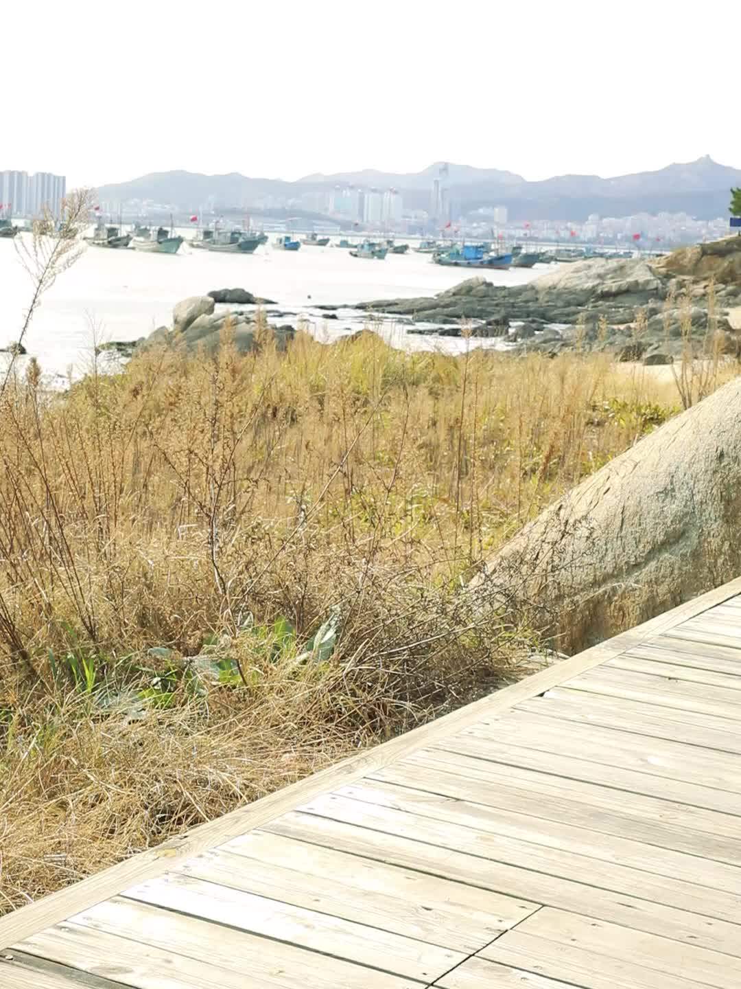 Small outdoor fishing chair multifunctional portable leisure fishing seat folding stool thickened 2020 new fishing chair