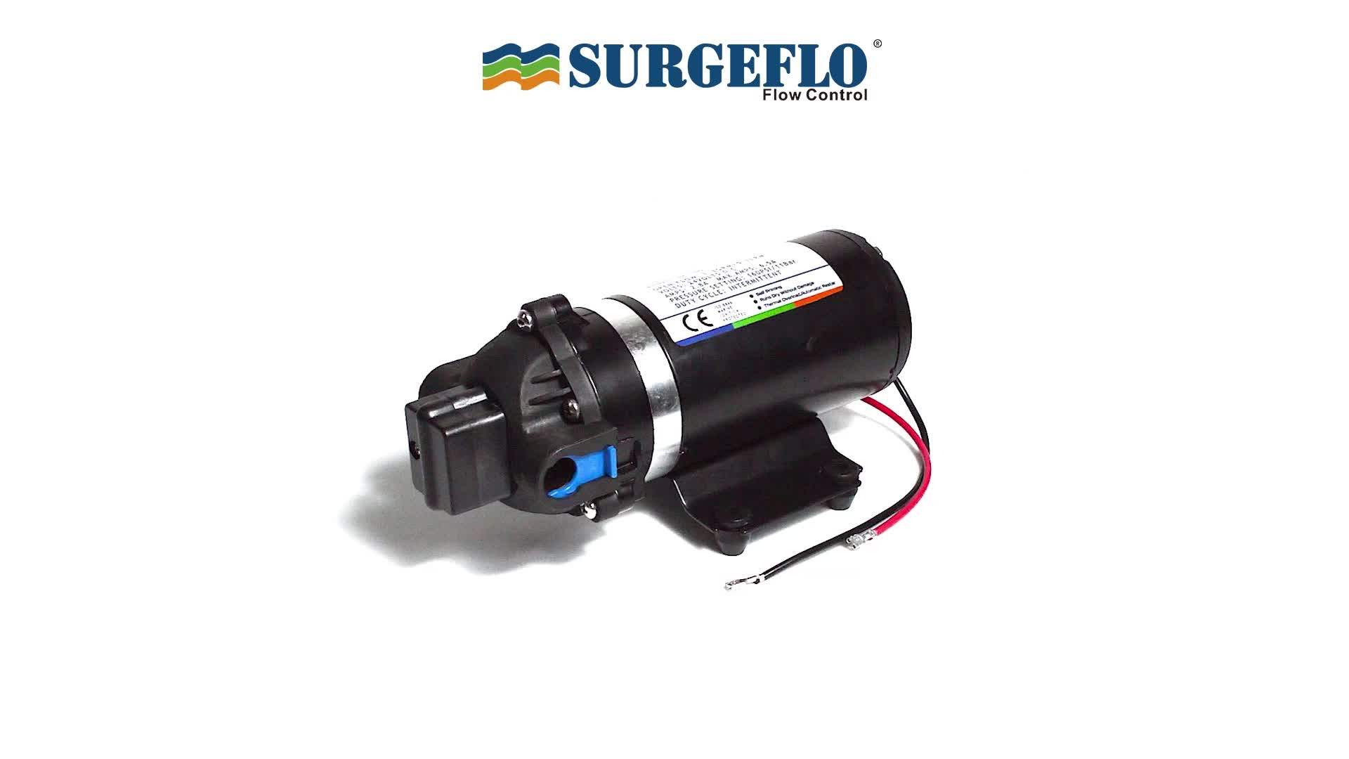Surgeflo Dp160 Dc 24v 100 120 160 Psi Mini High Pressure Electric