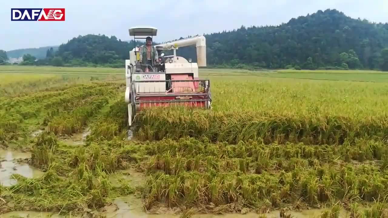 Multi-functions For Vary Of Crops Rice Harvester Mini Combine Harvester ...