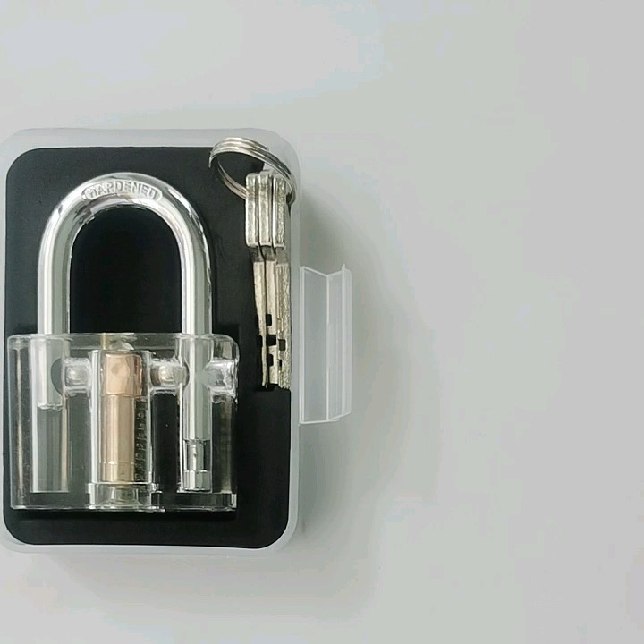 Disc Type Padlock Training Lock Transparent Cutaway Inside View Of